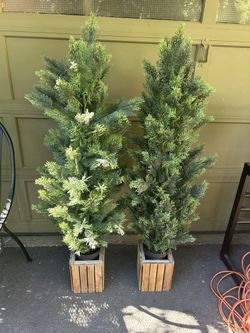 Two Matching Plants, Faux