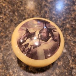 Sea World Orca Genuine Alabastar jar with hinged lid 