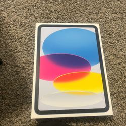 2025 iPad 