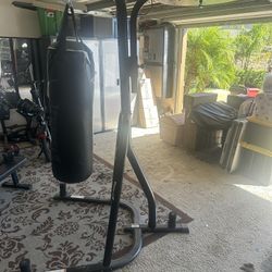 Everlast Heavy Bag Dual Station Stand