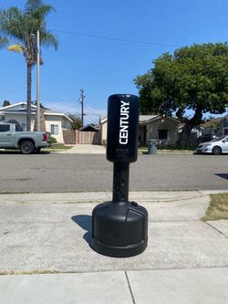 CENTURY WAVEMASTER PUNCHING BAG