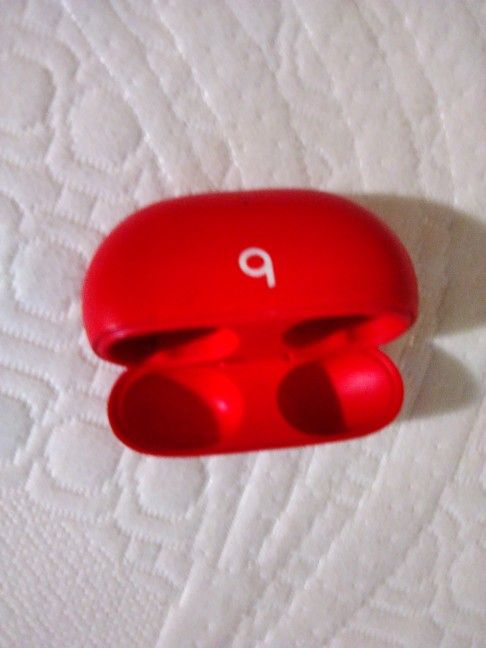 Beats Case