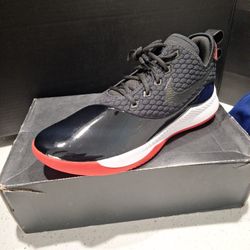 Lebrons Witness Sz 12