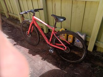SPECIALIZED Mountain Bike