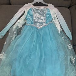 Frozen Dresses