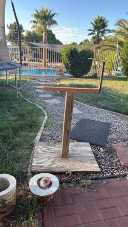 Free peacock stand