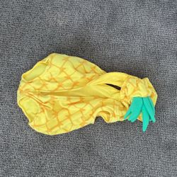 Great Condition 12 Month Pineapple Costume