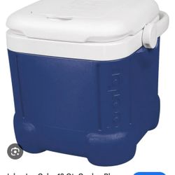 Small Blue Igoo Cooler