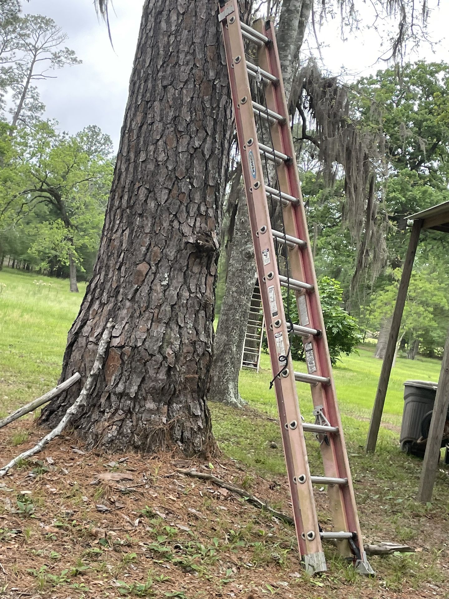 24ft Fiberglass Ladder