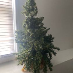Christmas tree