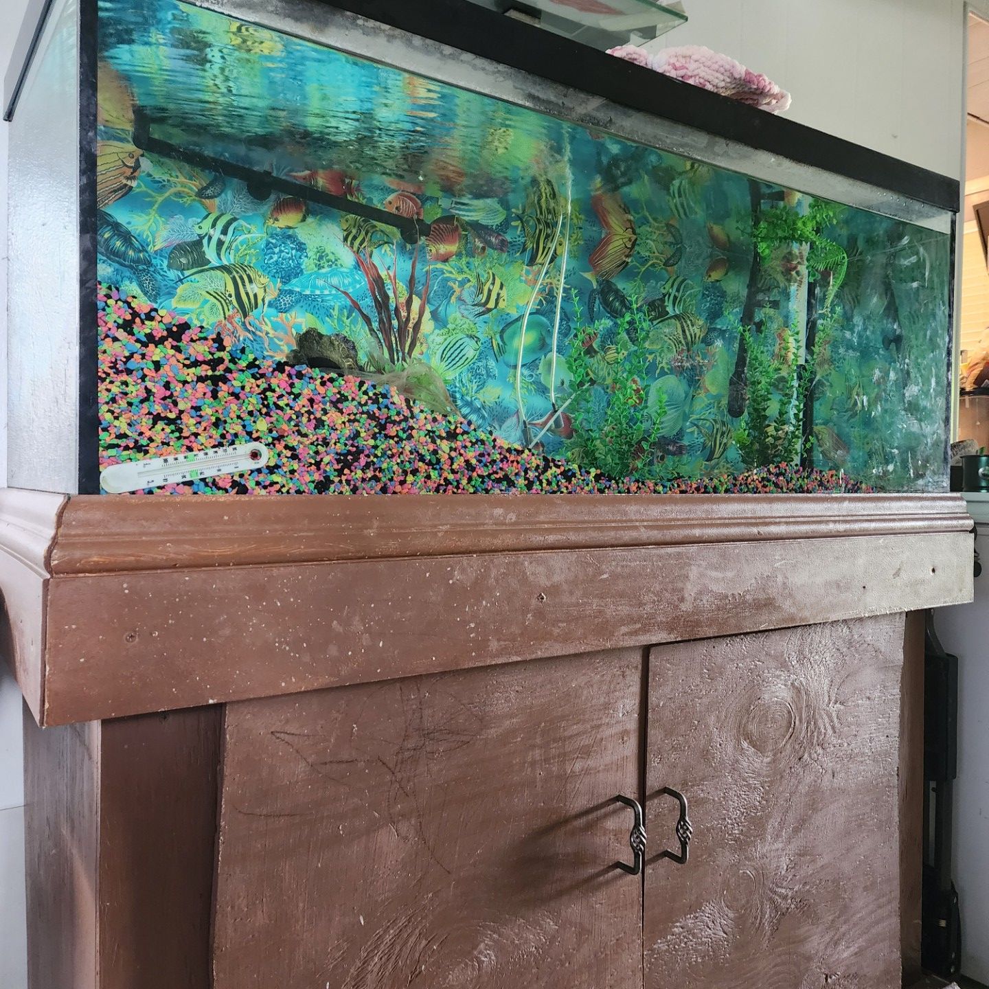 Complete Fish Tank Setup with Stand – Ready to Use for Sale in Fort ...