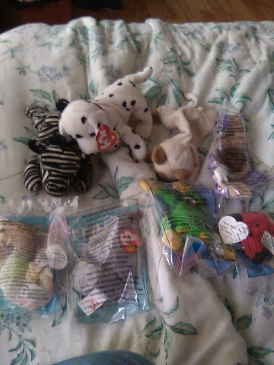 The lot: ty beanie babies,zebra,dolphin,neon seahorse,spike the rhino,smoochy,lucky lady bug,stretchy theostrich.