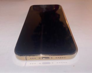 iPhone pro12