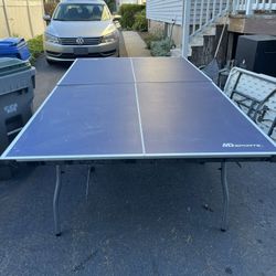 Ping Pong Table 