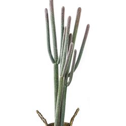 Artificial Plant - YES IT’S AVAILABLE 