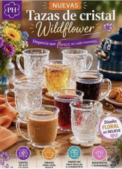 Set de 8 tazas