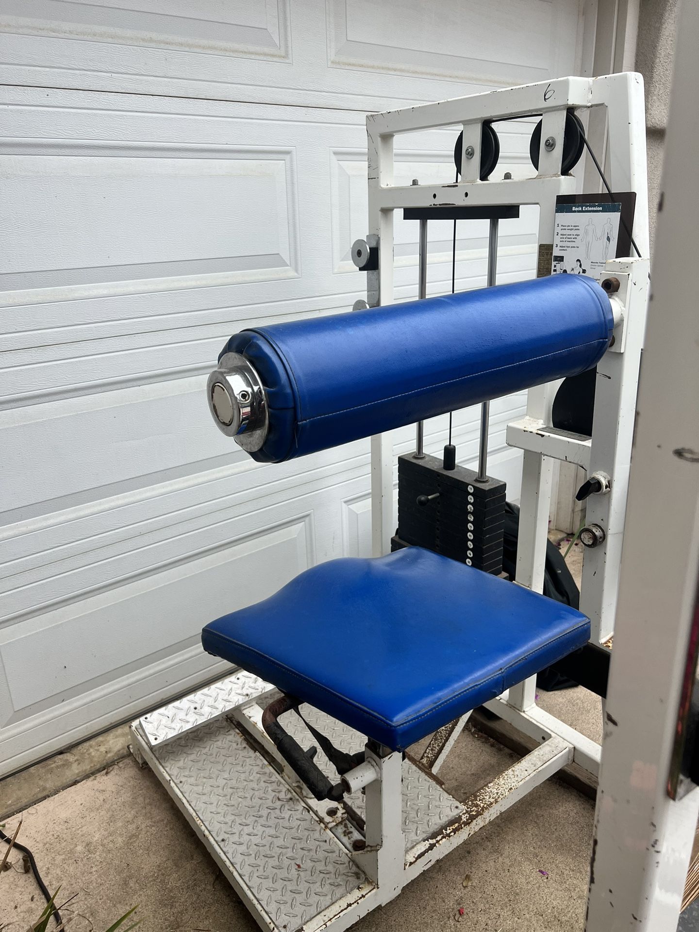 professional gym equipment 250 pound of weights