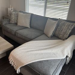 Gray Couch with Case and love seat