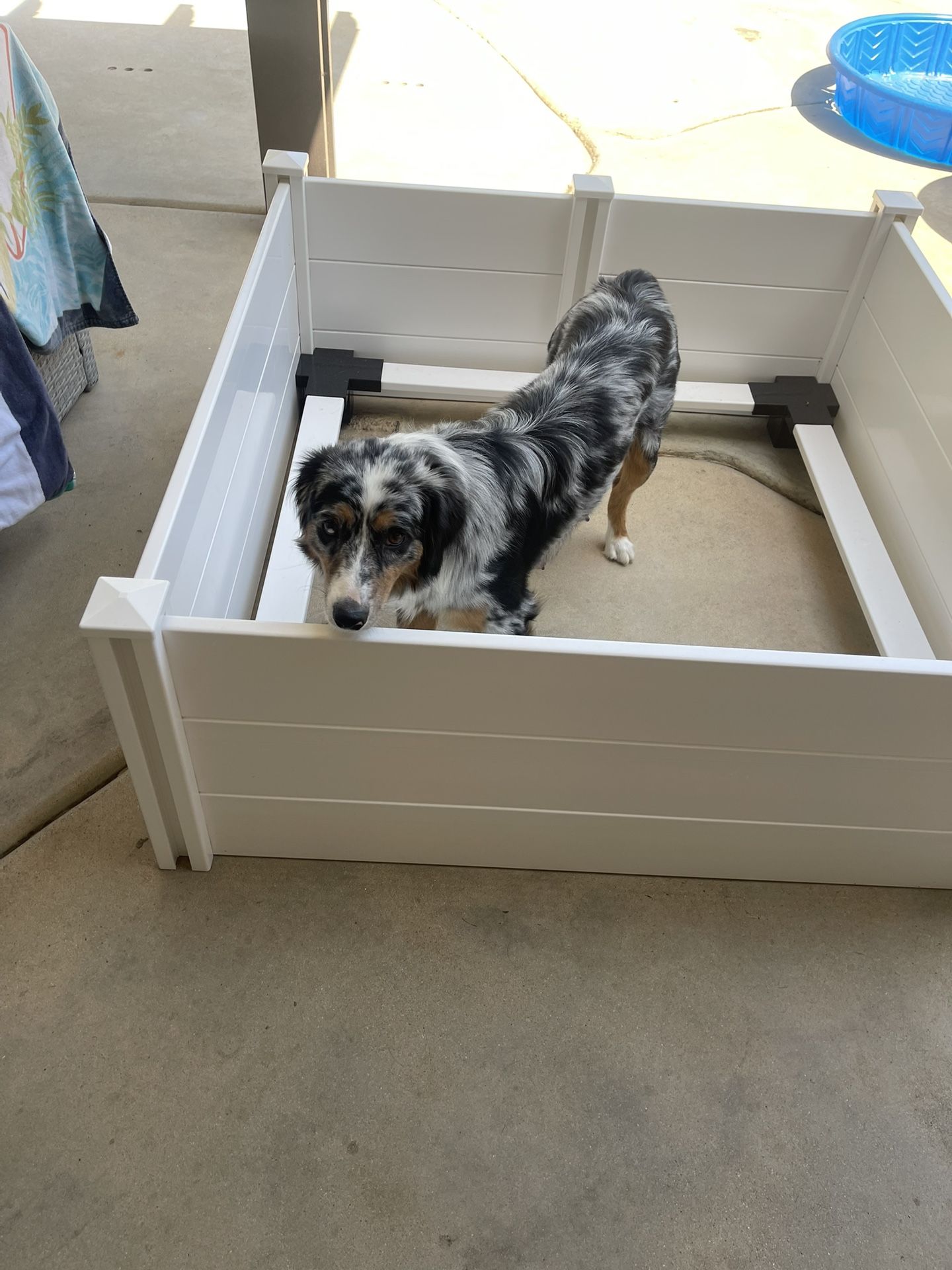 Whelping Box