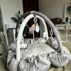Baby Play Gym