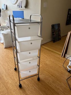 Art organizer rollable shelves