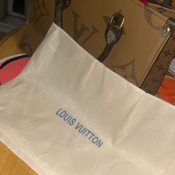 Louis Vuitton Bag