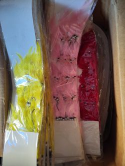 Clip on extensions feathers red pink and yellow