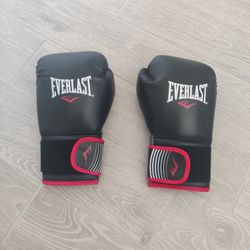 Everlast Core 2 Training Boxing Gloves, Black, S/M – Synthetic Leather, Anti-Odor, Beginner Friendly