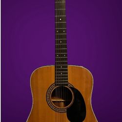 Guitar Estate Sale Alvarez Vox Godin fender Etc 