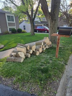 Free Rounds Box Elder and Pear