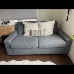 Pull Out Couch 