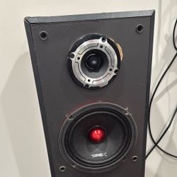 Pair of Ds18 6.5 with 1” Tweeters