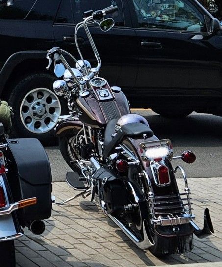 1998 Harley-Davidson Heritage Springer 95th Anniversary