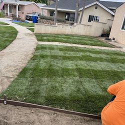 Free Sod 