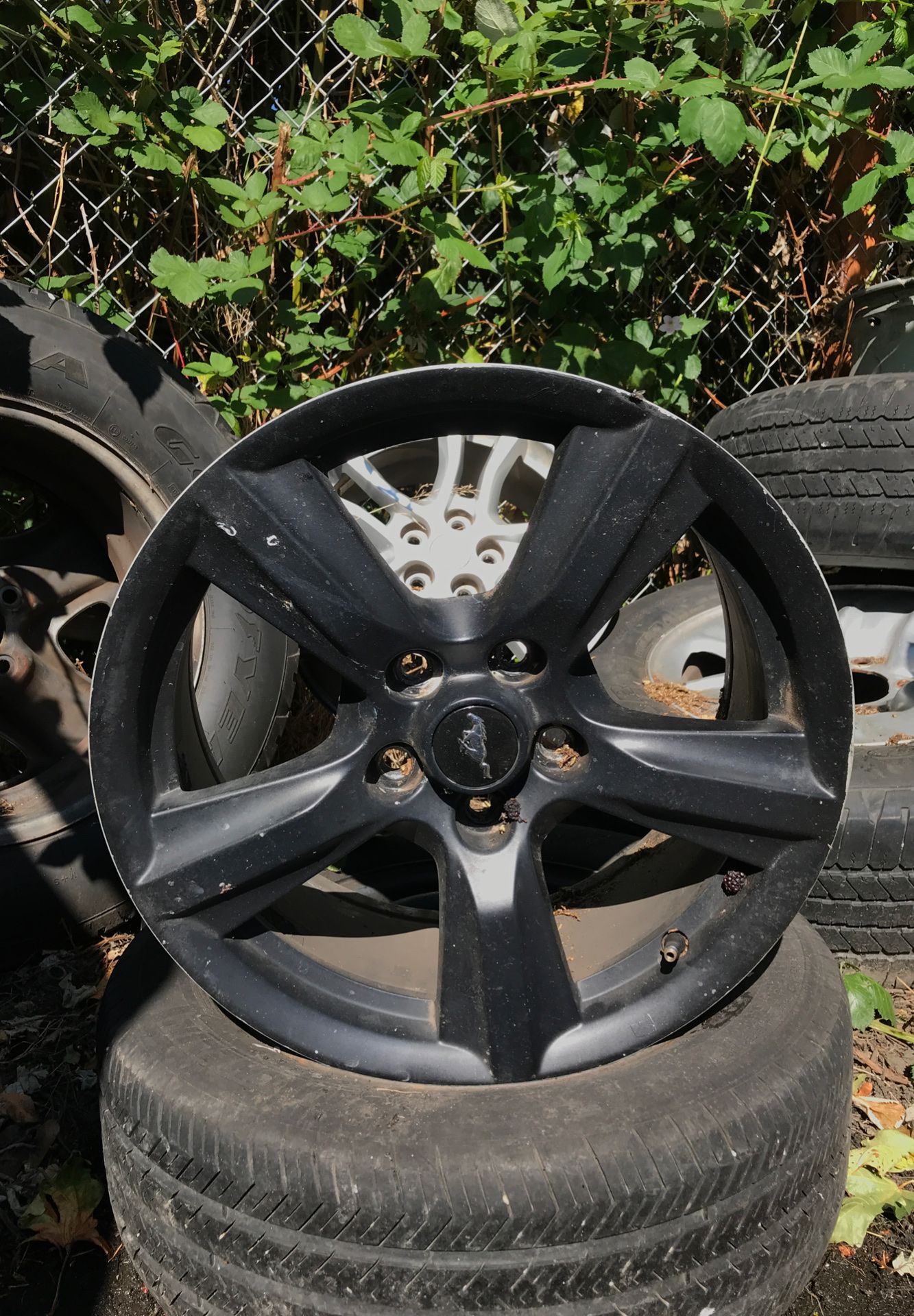 Mustang rims 2012