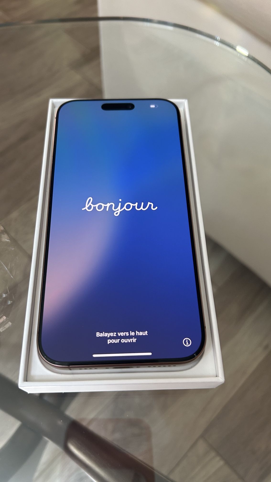 iPhone 16 Pro Max