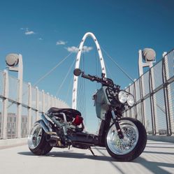 2013 Honda Zoomer(Honda Ruckus)
