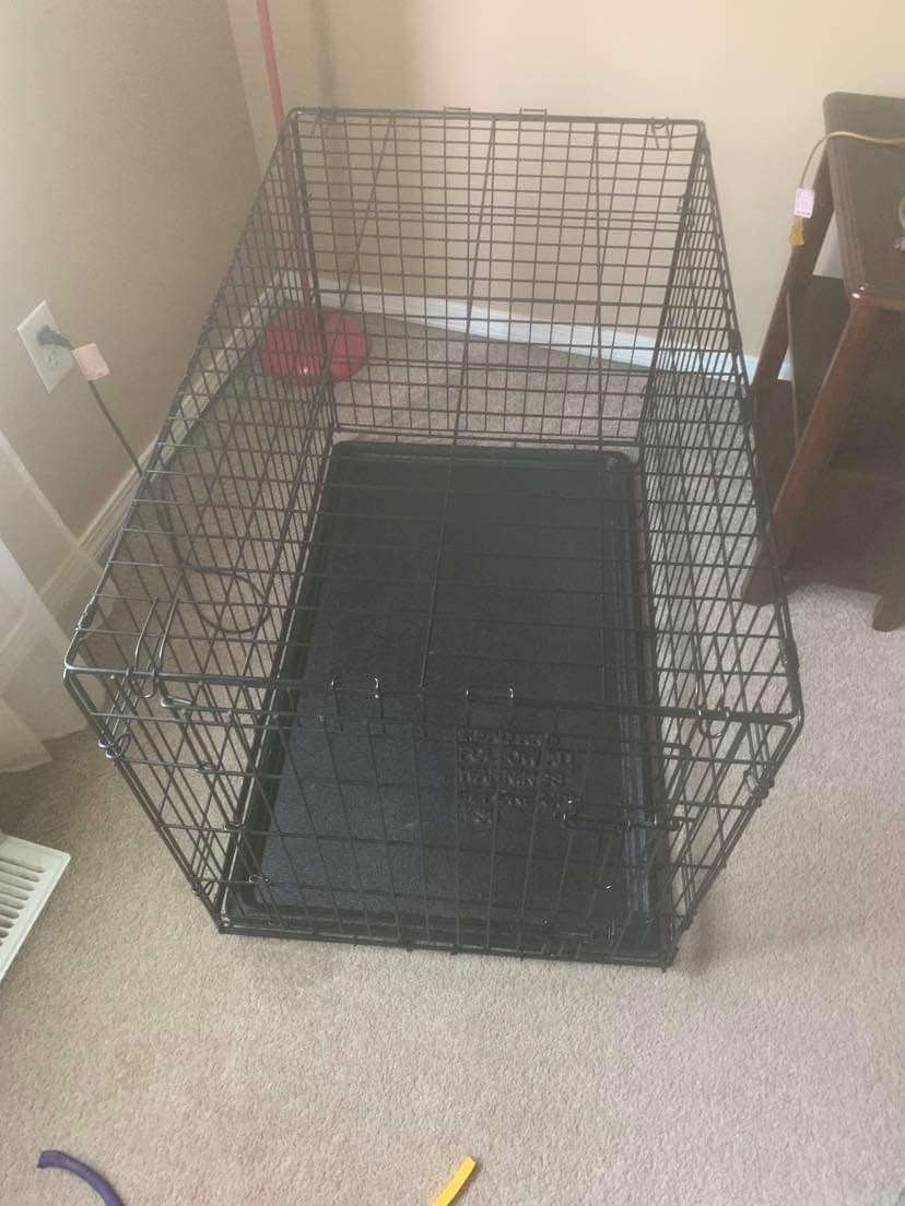 Dog Kennel 