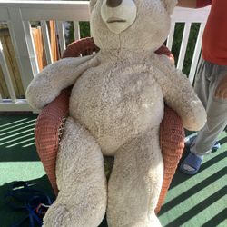 Life-Size Teddy Bear