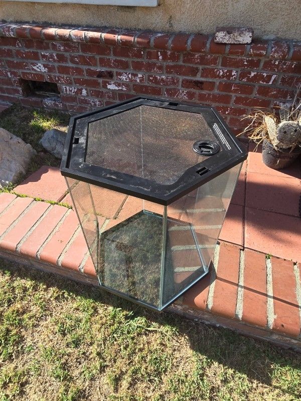 20 Gallon hexagon shaped vertical tank