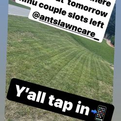 Need Your Grass Cut?