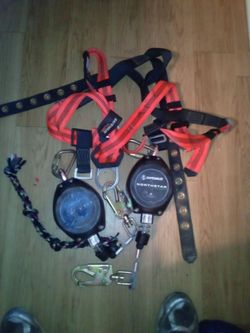 Safety harness