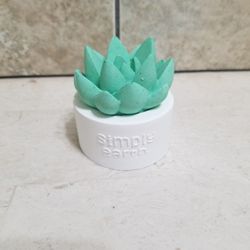 Small Succulent Essential Oil Diffuser