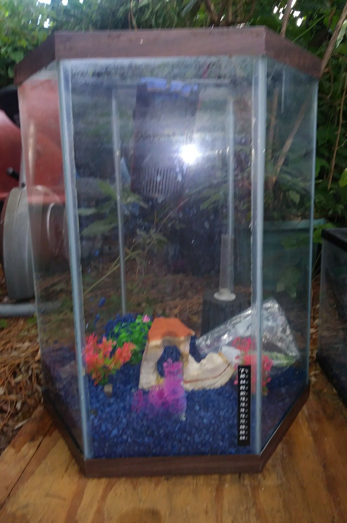 28 Gallon Hexagon Aquarium