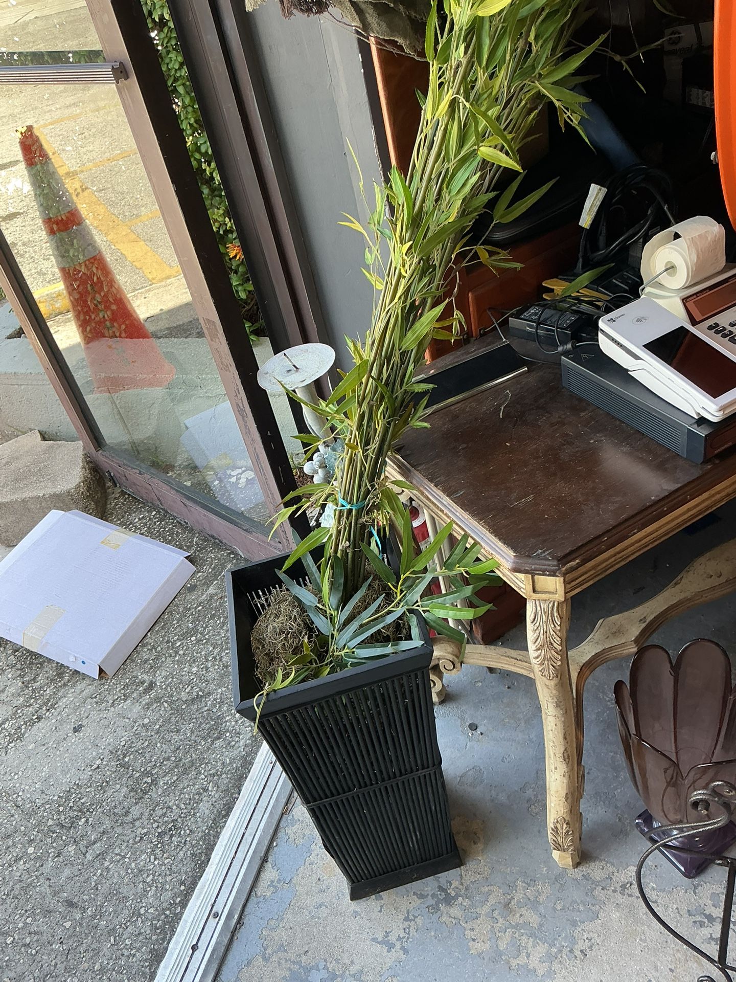 Plant 