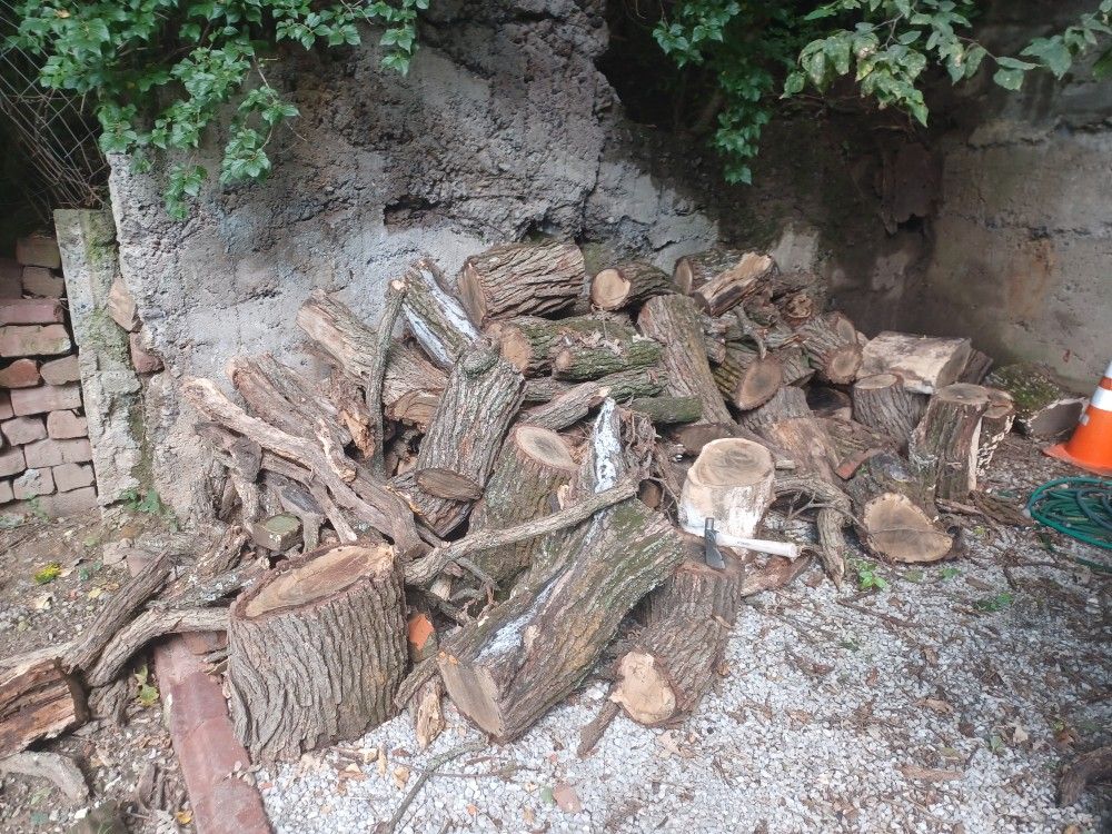 Fire Wood