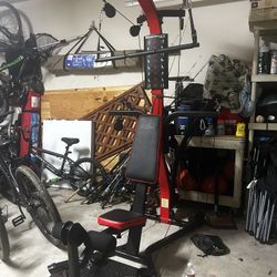 BowFlex PR3000 Home Gym