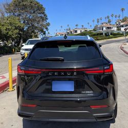 2024 Lexus NX350h AWD Luxury – Red Interior – Like New – No Accidents – 31K Miles