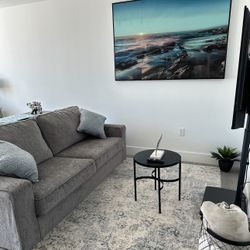 Great Deal - Couch Micro Memory Foam Coach