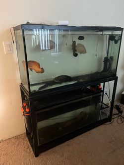 Tanks for sale